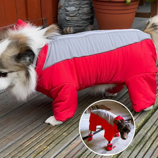 Manteau chien offrrir chaleur et confort