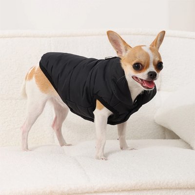 Manteau pour Chien  Couvre le dos et le ventre tout en laissant une liberté de mouvement