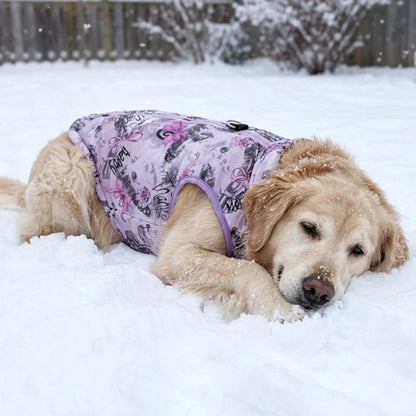 Manteau pour Chien tissu déperlant protégeant des intempéries et de l'humidité