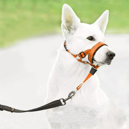 Muselière chien​ Boucles de réglage rapide: Permettent un ajustement facile et précis autour du cou et du museau