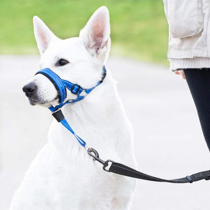 Muselière chien​ Laisse la gueule libre de s'ouvrir pour boire et accepter des friandises