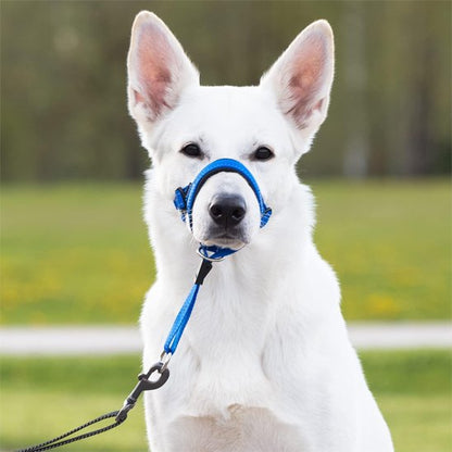 Muselière chien​ Système anti-traction: Aide à réduire les tirages en laisse 