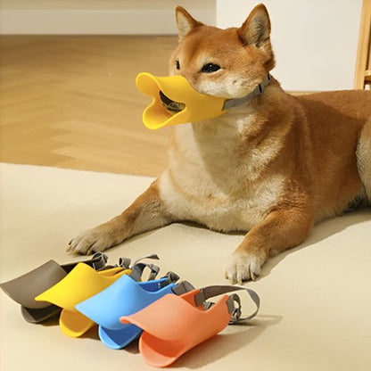 Muselière chien