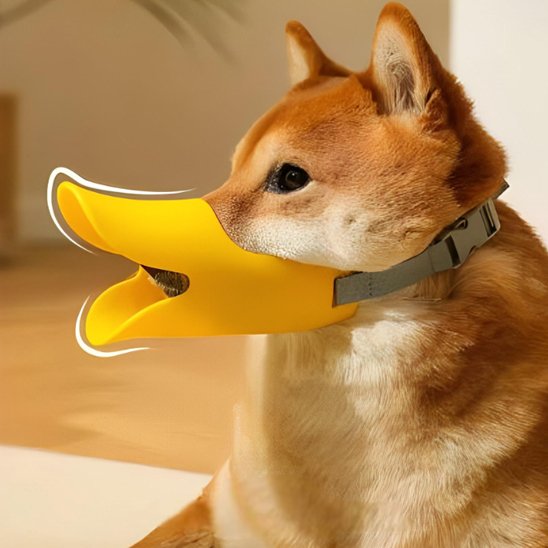 Muselière chien