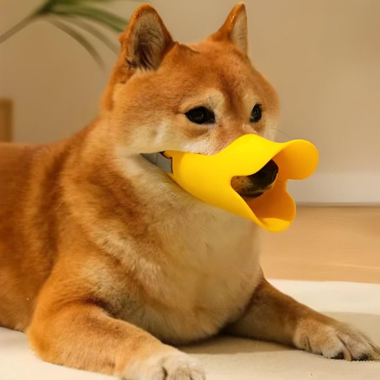 Muselière chien