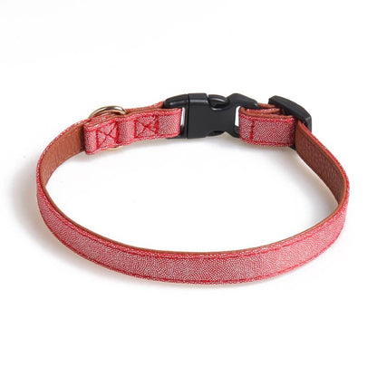 oui , belle boucle fait de nylon pour chien je vais etres tres élégant. - WOOF TOUT