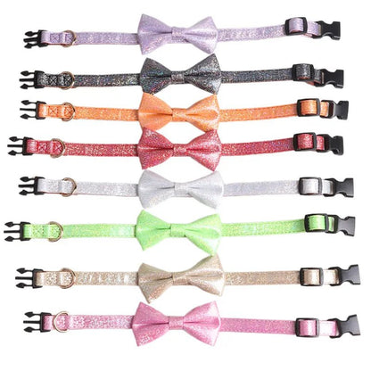 oui , belle boucle fait de nylon pour chien je vais etres tres élégant. - WOOF TOUT