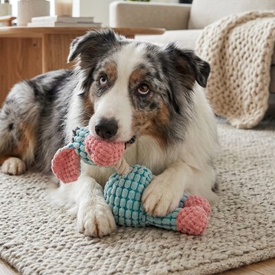 Peluche Chien Forme d'animaux colorés qui stimule l'intérêt et l'instinct de jeu