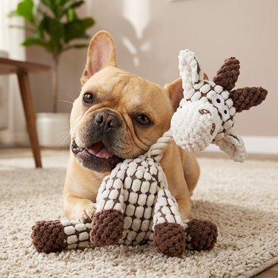 Peluche Chien Résiste a séances de jeu intensives et au transport répété