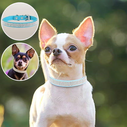 Collier chien | Strass Scintillant