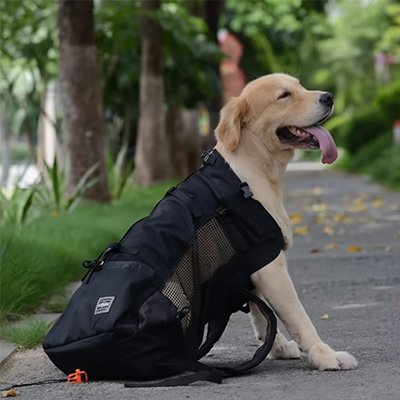Sac à dos pour Chien  Accès facilité avec fermetures permettant à l'animal de sortir la tête tout en restant maintenu