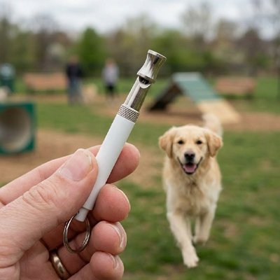 Sifflet ultrason pour chien Utilisation sans pile