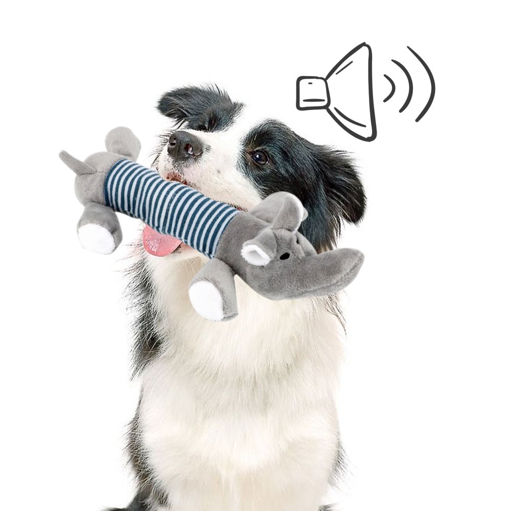 SoundToys™ - Jouet peluche pour chiens - WOOF TOUT