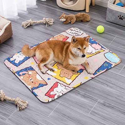 Tapis rafraichissant pour Chien
