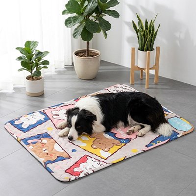 Tapis rafraichissant pour Chien avec bonne grandeur 