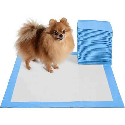 Toilette ;Pipi pad pour chien très absorbant pour entrainement . - WOOF TOUT
