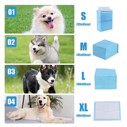 Toilette ;Pipi pad pour chien très absorbant pour entrainement . - WOOF TOUT