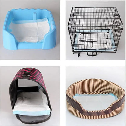 Toilette ;Pipi pad pour chien très absorbant pour entrainement . - WOOF TOUT
