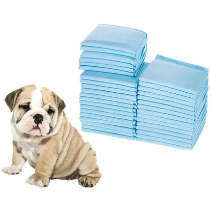 Toilette ;Pipi pad pour chien très absorbant pour entrainement . - WOOF TOUT
