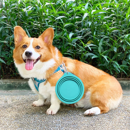 Un gobelet de silicone facile a transporter et pliable pour introduire eau et nourriture et clipper sur une ceinture a chien . - WOOF TOUT