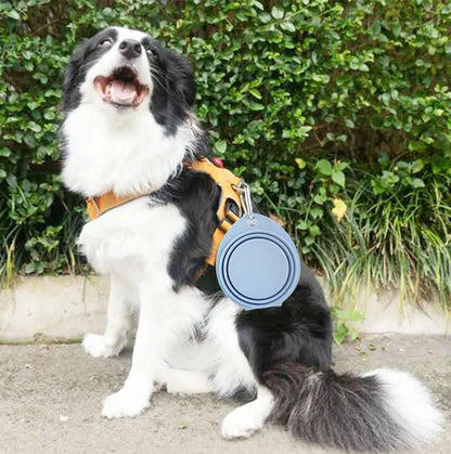 Un gobelet de silicone facile a transporter et pliable pour introduire eau et nourriture et clipper sur une ceinture a chien . - WOOF TOUT