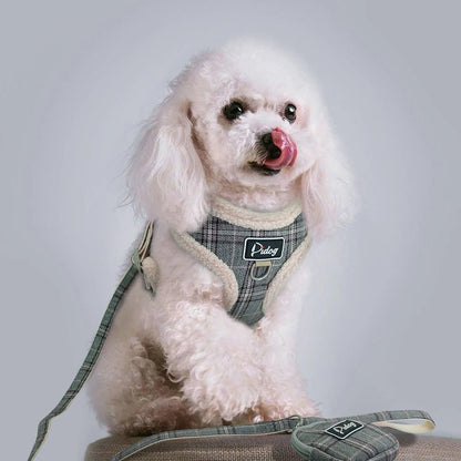 Un très beau harnesses très bien ajuster sur votre petit chien. - WOOF TOUT