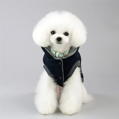 Veste fait de cotton doux garde au chaud pour petite tailles. - WOOF TOUT