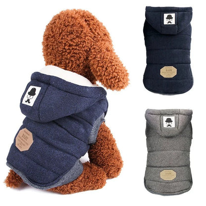Veste fait de cotton doux garde au chaud pour petite tailles. - WOOF TOUT