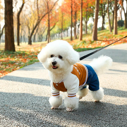 Veston de sport avec anneau pour petits chiens - WOOF TOUT